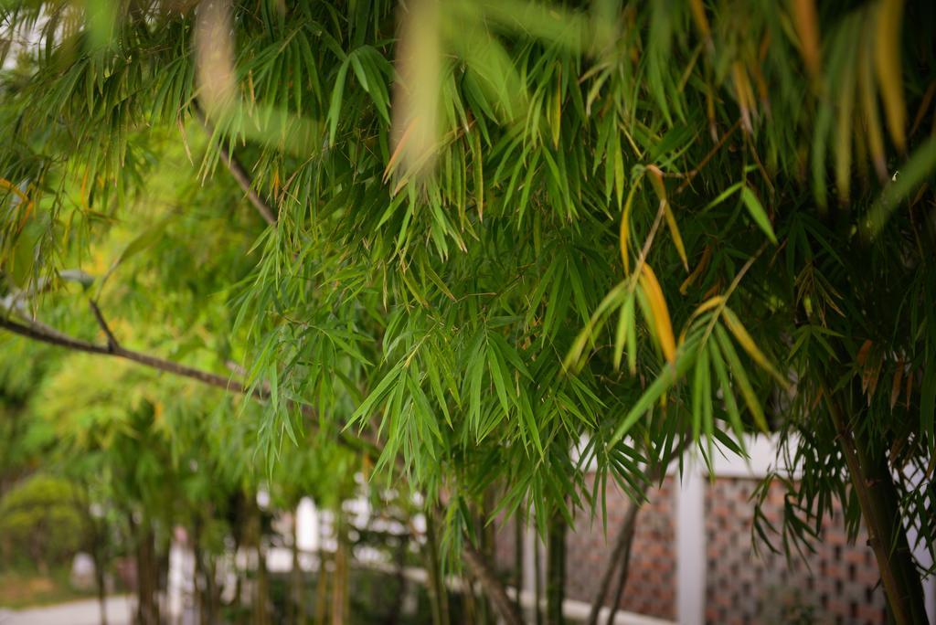 Courtyard Homestay * Ipoh